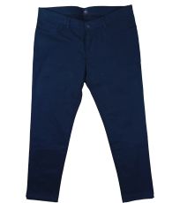 Pánske nohavice 688705-7634 Hattric