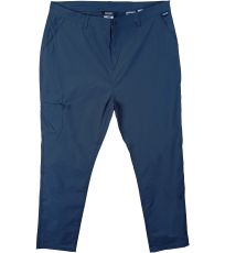 Pánske outdoorové nohavice DALRY REGATTA