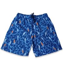 Pánske plavkové kraťasy Swimwear Blend